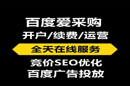 企业案例：SEM推广代运营成果展示