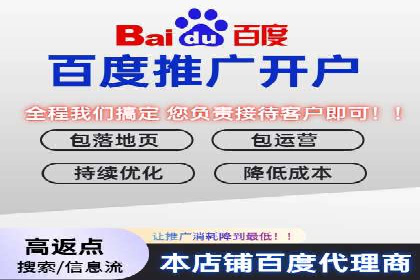 百度信息流广告案例分析：精准投放策略全解析